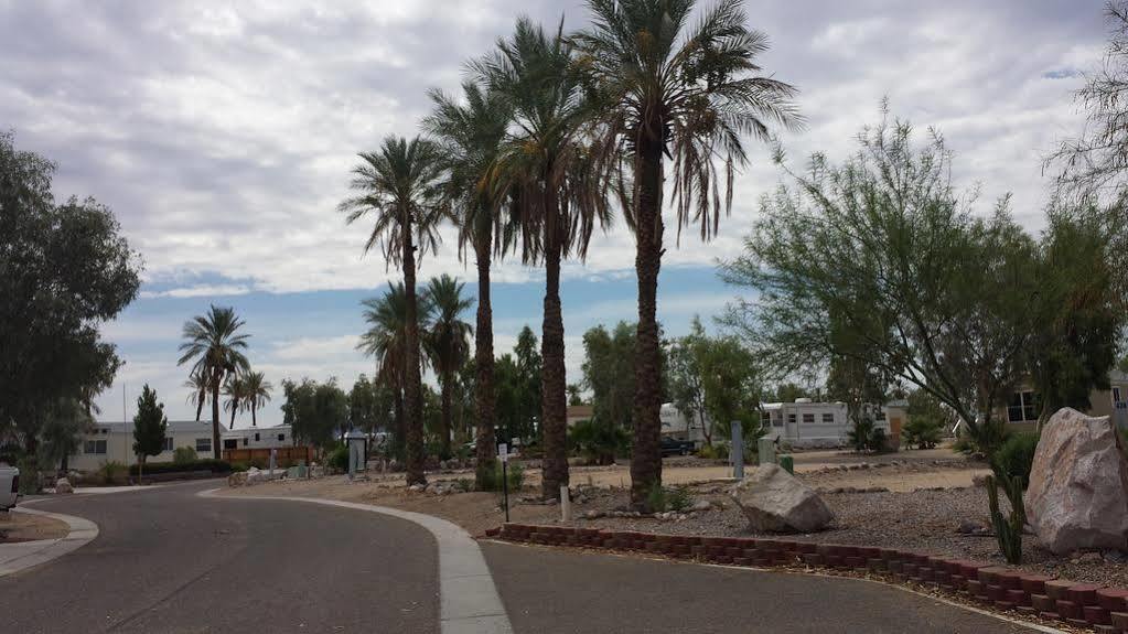 Silver View Rv Resort Bullhead City Exteriör bild